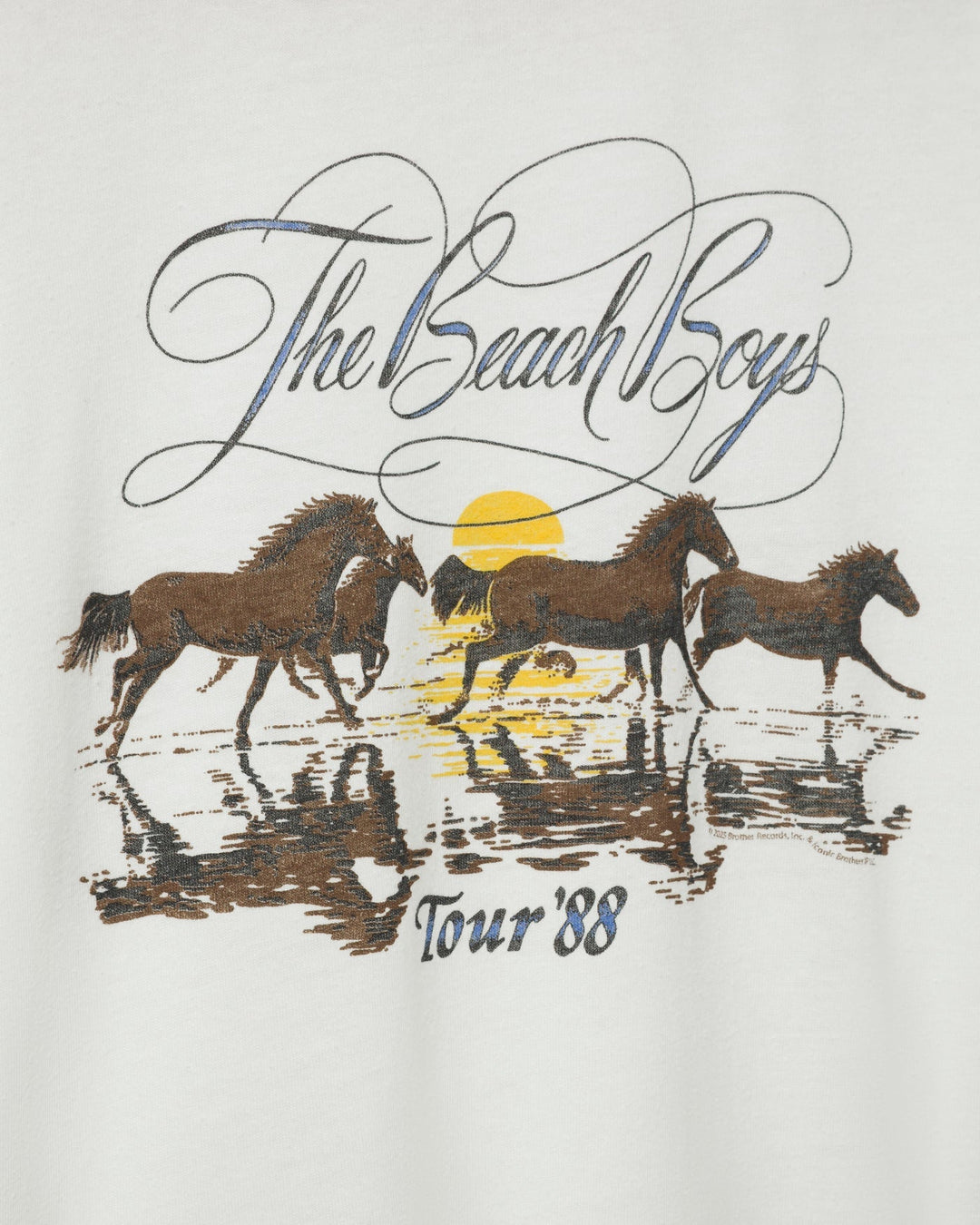 JUNK FOOD The Beach Boys Tour '88 Tee-The Shop Laguna Beach