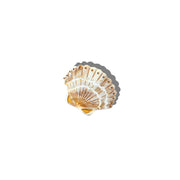 Decorative shell wall art on a white background