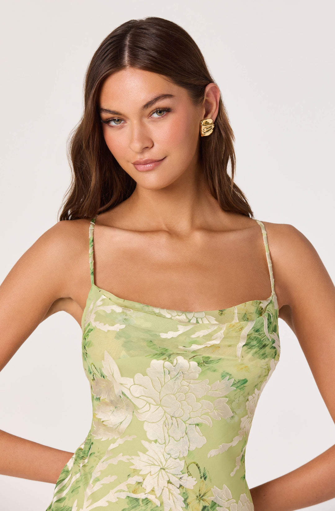 ASTR THE LABEL Gaia Velvet Burnout Midi Dress