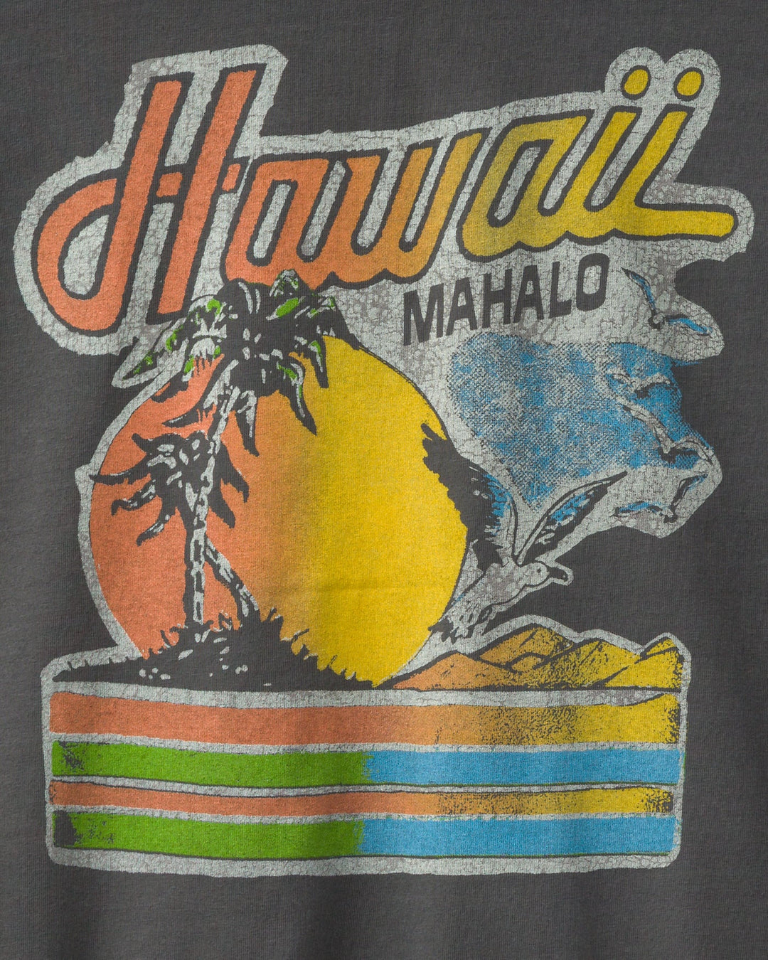JUNK FOOD Hawaii Mahalo Jersey Tee