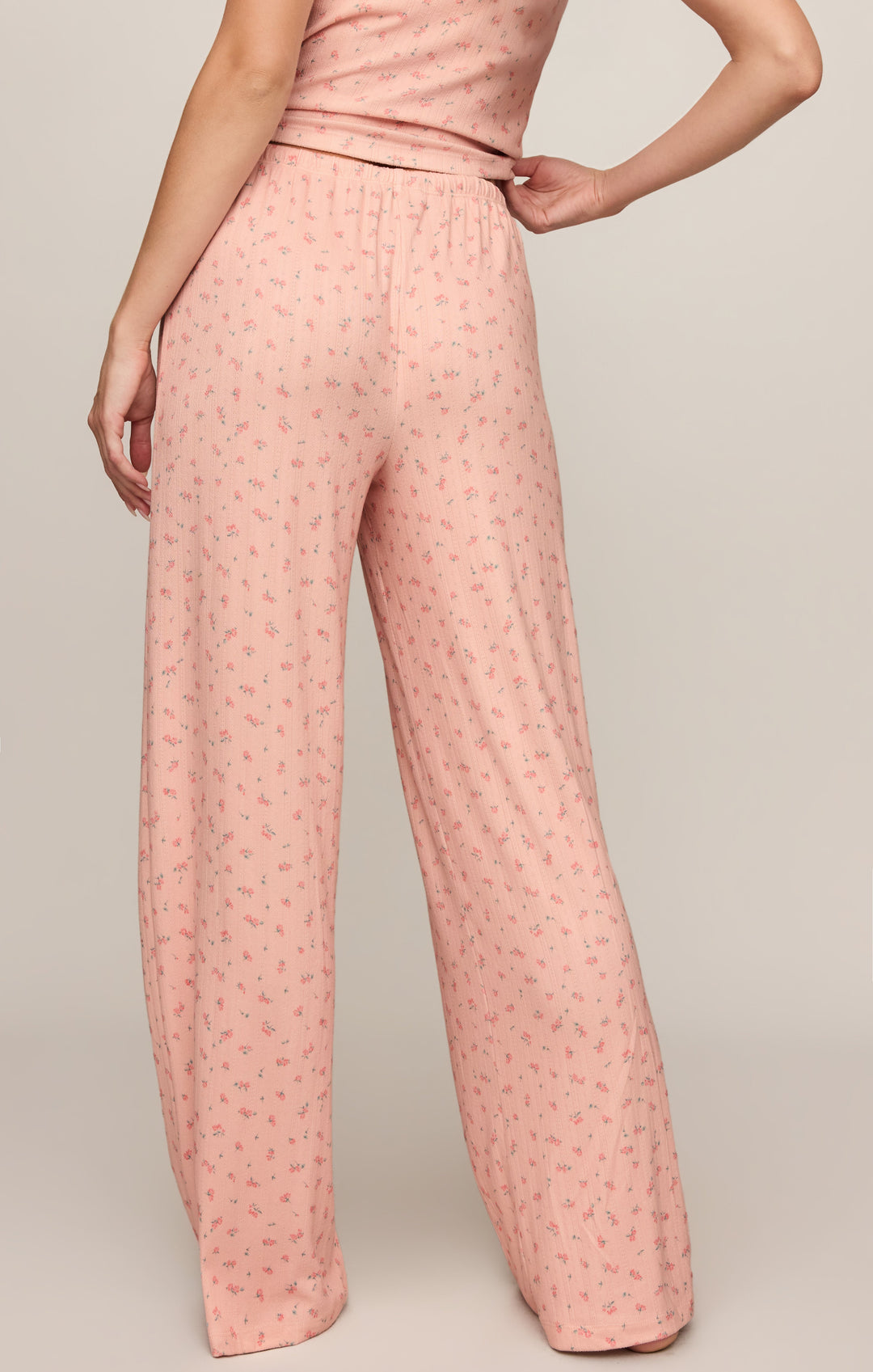 Z SUPPLY Better Off Pointelle Ditsy Pant