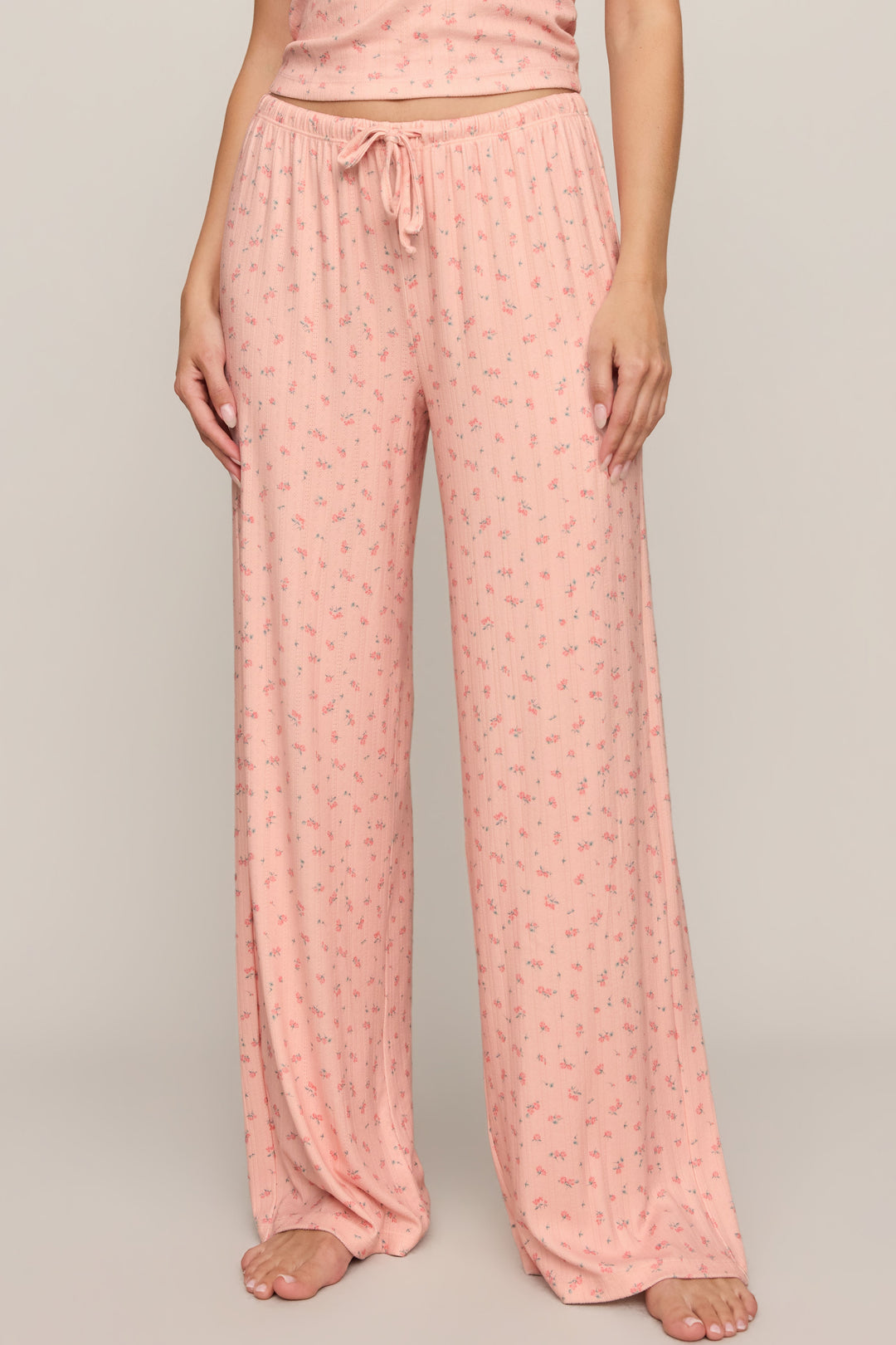 Z SUPPLY Better Off Pointelle Ditsy Pant