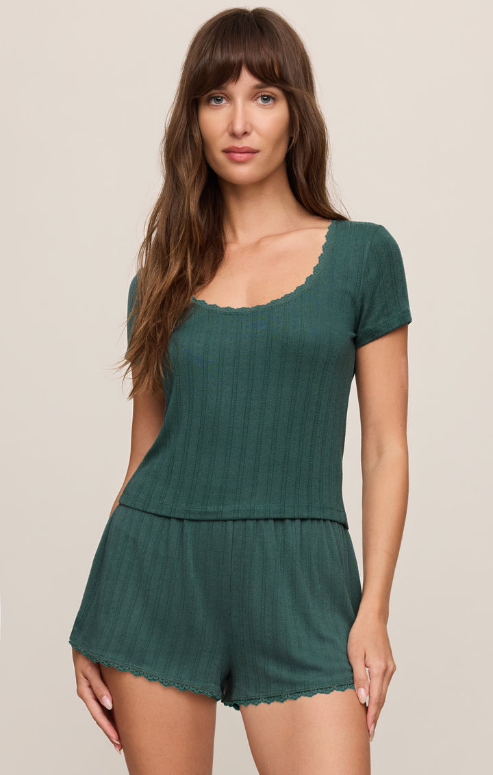 Z SUPPLY Countryside Pointelle Knit Short